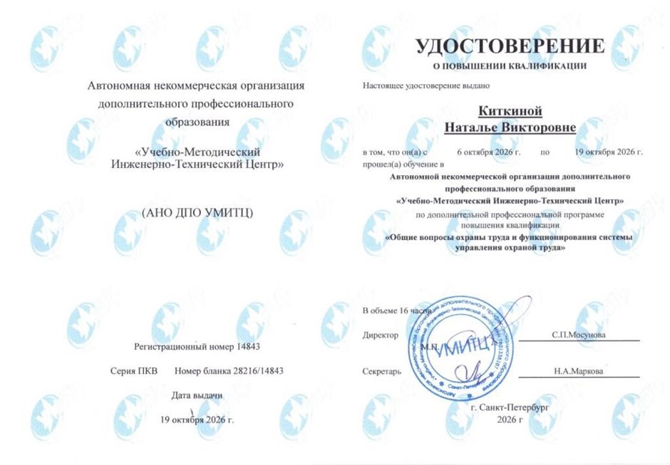 Киткина Наталья Викторовна 2026-2027
